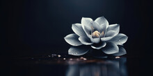 Lotus Flower Zen Background Or Wallpaper With Large Space For Text And Dark Colors