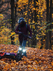 Wall Mural - A man in a helmet rides through a colorful autumn forest on a powerful electric scooter