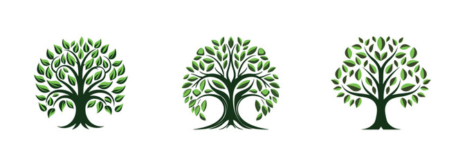 Wall Mural - tree of life set on white background. vector illustration