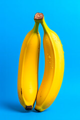 Poster - Fresh yellow bananas on blue background