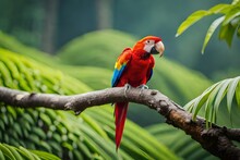 Red Parrot Scarlet Macaw, Ara Macao, Bird Sitting On The Branch, Costa Rica. Wildlife Scene From Tropical Forest. Beautiful Parrot On Tree Green Tree In Nature Habitat.