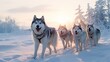 Sled dog Siberian husky is driving a sled through a winter snow-covered forest created with Generative AI technology