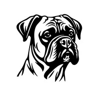 Vector Isolated One Single Rottweiler Bullmastiff Boxer Dog Head Front View Black And White Bw Two Colors Silhouette. Template For Laser Engraving Or Stencil