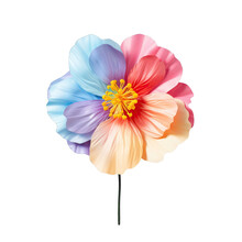 Clipping Path Isolates Artificial Flower On Transparent Background With Colorful Decoration
