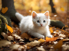 Closeup Shot Of A Cute White Cat Sitting On The Fallen Autumn Maple Leaves, Article About Cats And Autumn. Yellow Fallen Leaves. Photos For Printed Products, Generative AI