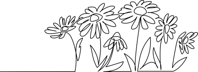 Wall Mural - Daisy flowers field. Continuous one line art drawing style.