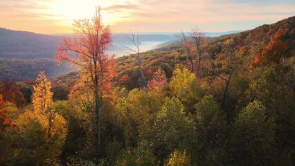 Wall Mural - Colorful Arkansas ozark mountain scenic overlook in fall with autumn colored forest via aerial drone view