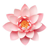 Pink lotus flower isolated on transparent background