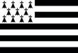 Breton flag, white and black. France region. Vector illustration