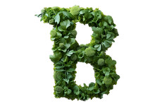 Green Letter B Out Of Plants