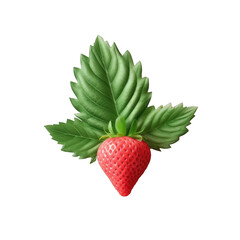 Wall Mural - Strawberry leaf on transparent background