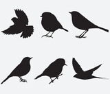 Fototapeta Dinusie - Vector Collection of Bird Silhouettes