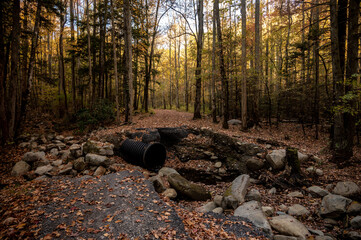 Wall Mural - Road Washout Along Greenbrier Road