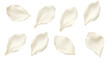 elegant collection of soft white flower petals isolated on a transparent background, generative ai 