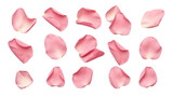 Fototapeta Na drzwi - elegant collection of soft pink flower petals isolated on a transparent background, generative ai 