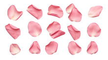 Elegant Collection Of Soft Pink Flower Petals Isolated On A Transparent Background, Generative Ai 