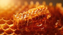 Close Up Of Honeycomb Full Background