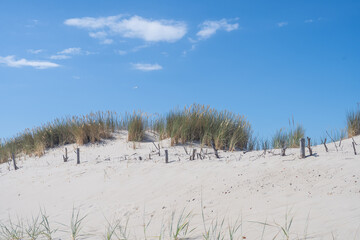 Wall Mural - Sand dunes on the beach in Kolobrzeg