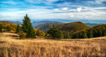 Wall Mural - Autumn meadow and colorful mountains