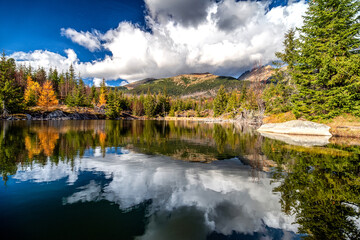 Wall Mural - Reflection of coniferous trees on a surface of the water. Tarn Rakytovske pliesko in High Tatras mountains in Slovakia