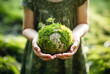 Hands holding a small globe with moss in the grass