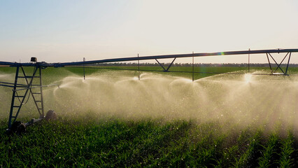 Aerial view pivot at work in potato field, watering crop for more growth. Center pivot system irrigation. Watering crop in field at farm. Modern irrigation system for land and vegetables growing on it