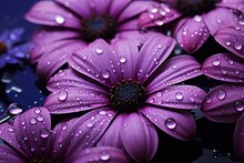 Close Up Of Purple Flower With Water Drops
