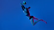 © master1305 - Professional female athlete, young woman playing volleyball, in motion hitting ball against blue studio background in neon light. Concept of professional sport, competition, health, hobby, action, ad