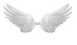white wings of bird on transparent png