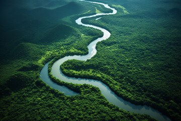 Canvas Print - From above, the lifeblood of the jungle is seen: a winding river snaking its way through the dense rainforest canopy