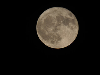 Wall Mural - full moon seen with telescope