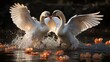 Two swans 