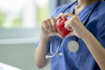 Beautiful young woman doctor in medical uniform holding a small fake heart, medical professional and consultation, treatment, cardiologist. Concept of female doctor in cardiology.