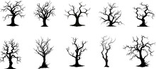 Set Of Halloween Tree . Dead Branch From .Halloween Tree By Hand Drawing.Black Plant On White Background