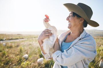 Wall Mural - Farmer, senior woman and agriculture, chicken and field with sustainability and livestock. Poultry farm, agro business and free range, countryside and environment with nature and happy with animal
