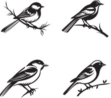 Beautiful Bird Silhouette Outlined Drawing Vector