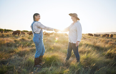 Wall Mural - Farmers, shaking hands or b2b partnership deal for sustainability, agriculture or meat production on field. Success, handshake or happy people meeting in cattle farming small business collaboration