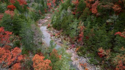 Wall Mural - Aerial drone flying over Arkansas ozark mountains and river in autumn with fall colored seasonal forest leaves