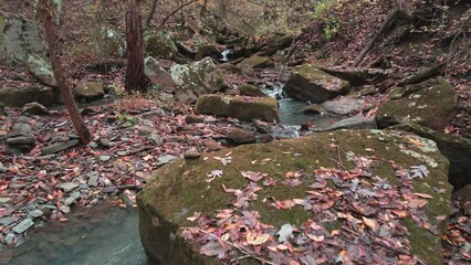 Wall Mural - Mossy rocks in Arkansas ozark mountain creek lined with forest trees in fall along river rocky coastline riverbed. 