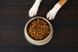 © Viktoriya - Dog paws on the dark wooden floor next to a bowl of dry food. Waiting for feeding. Top view.
