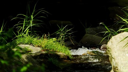 Wall Mural - Beautiful landscape of transparent water flowing in summer, Environment or nature, Nobody