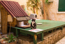 A Street Cat At A Shelter Built By Local Residents In The Historic Centre Of Split In Croatia. The Sign Warns People Not To Walk On The Platform Due To A Deep Drop