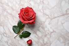 Top View Red Rose On Marble Background,valentine Day Concept.