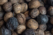Harvesting organic walnuts. overlay shot of fresh nuts with vintage nutcracker