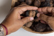 Harvesting organic walnuts. overlay shot of fresh nuts with vintage nutcracker