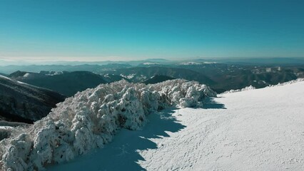 Canvas Print - Aerial of a beautiful landscape over the snowy forest and white mountains on a cold winter day