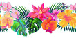 Horizontal seamless border of colorful tropical flowers and leaves
