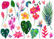 Set of vibrant tropical flowers, butterflies and palm leaves