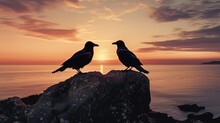 Two Ravens Standing On A Stone With The Sea As A Backdrop. Silhouette Concept