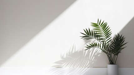 Aufkleber - Simple white wall with blurred foliage shadow on light background Perfect backdrop for a presentation on a sleek floor. silhouette concept